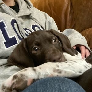 Meet your Posher, Shanna